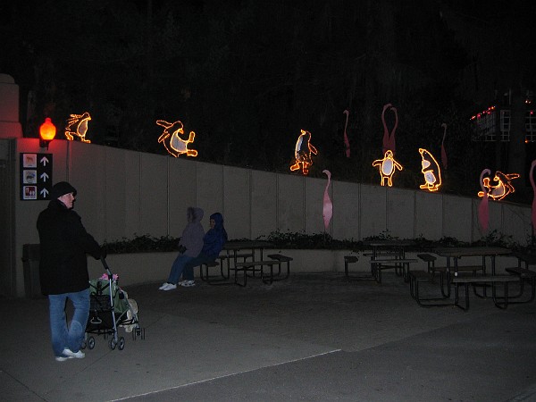 wildlights at zoo 020.jpg